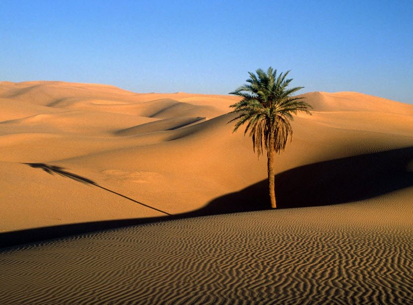 Sahara Desert Routes
